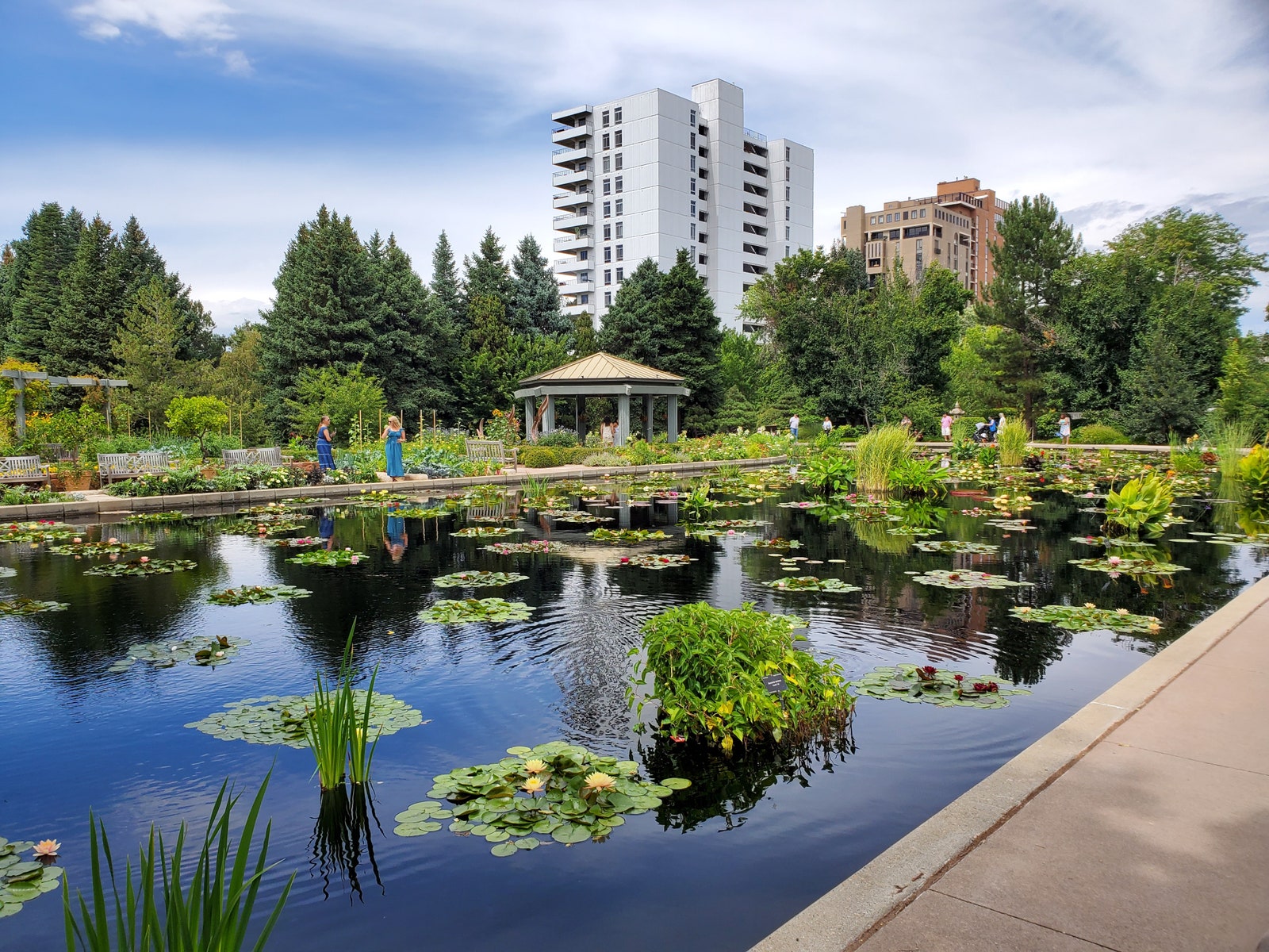 Images may contain natural outdoor pond water landscape grass park botanical garden people city and architecture