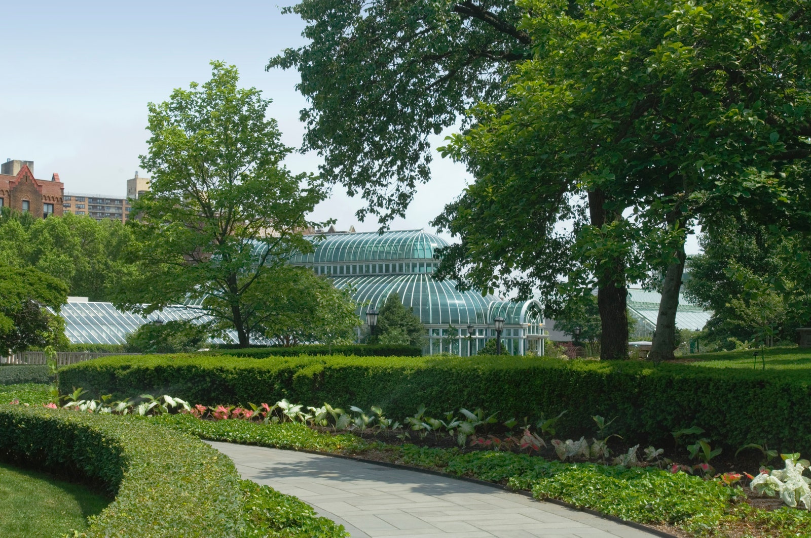 Image may contain grass nature outdoor park botanical garden fence fence vegetation city and trees